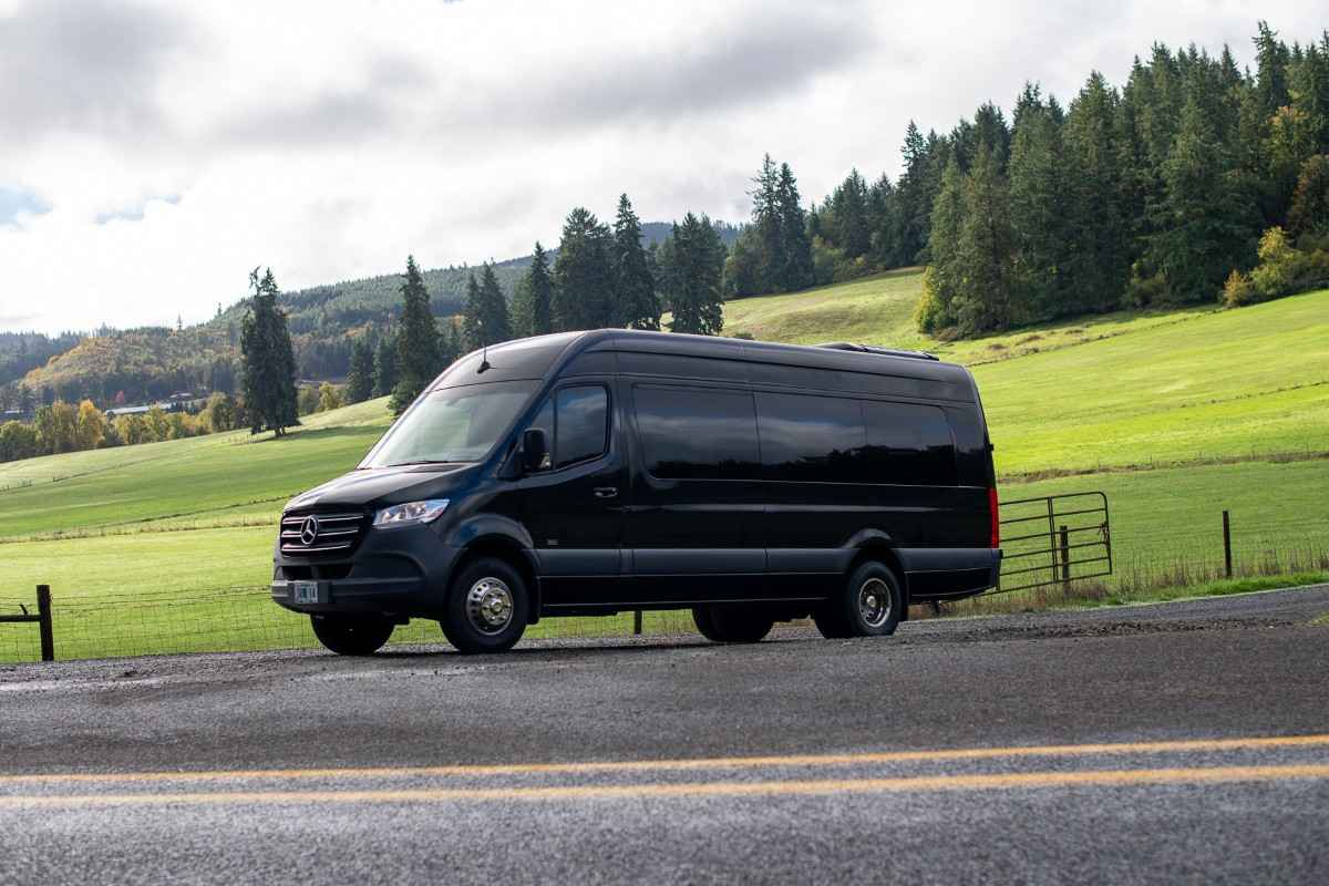 MERCEDES PARTY SPRINTER LIMO VAN