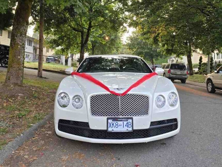 photo 2026 01 16 02 58 55 1 e1768561507213