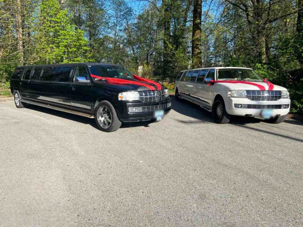 photo 2026 01 27 15 00 06 Photoroom 1